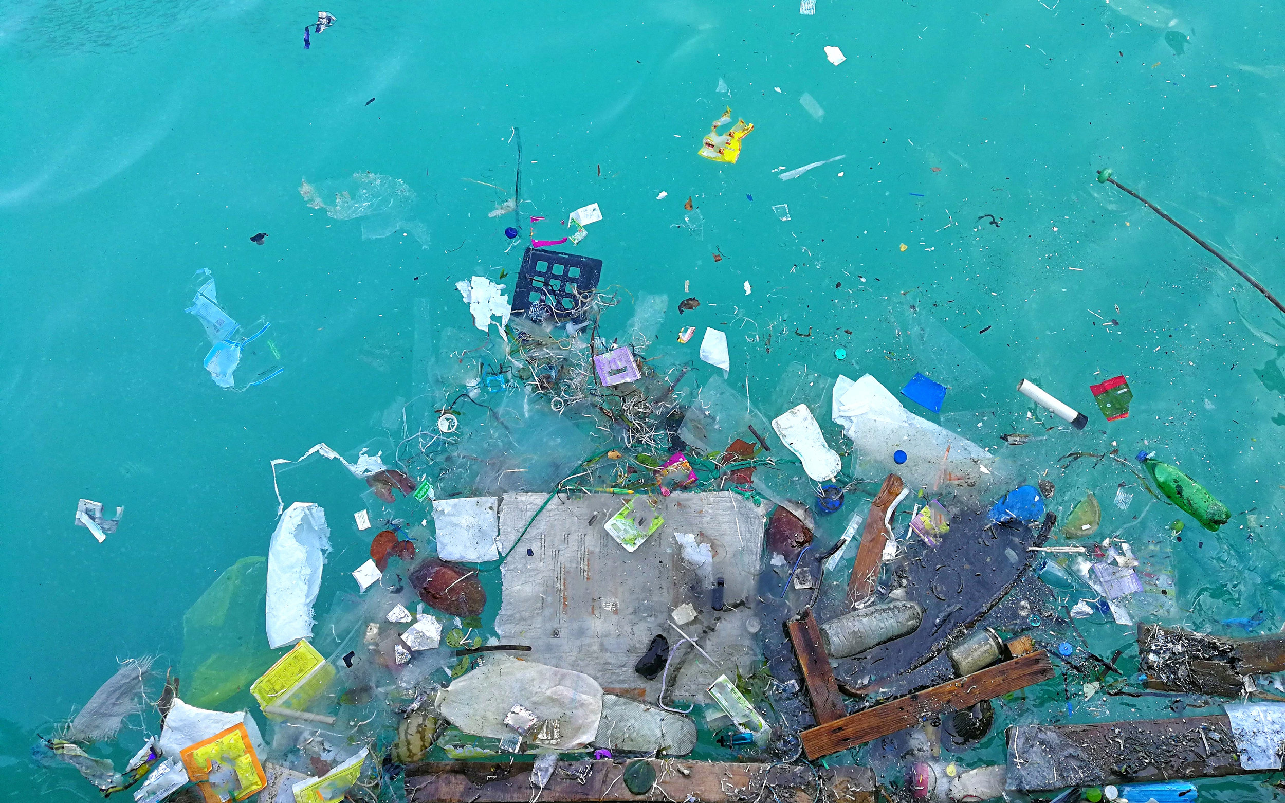 The Impact of Ocean Litter